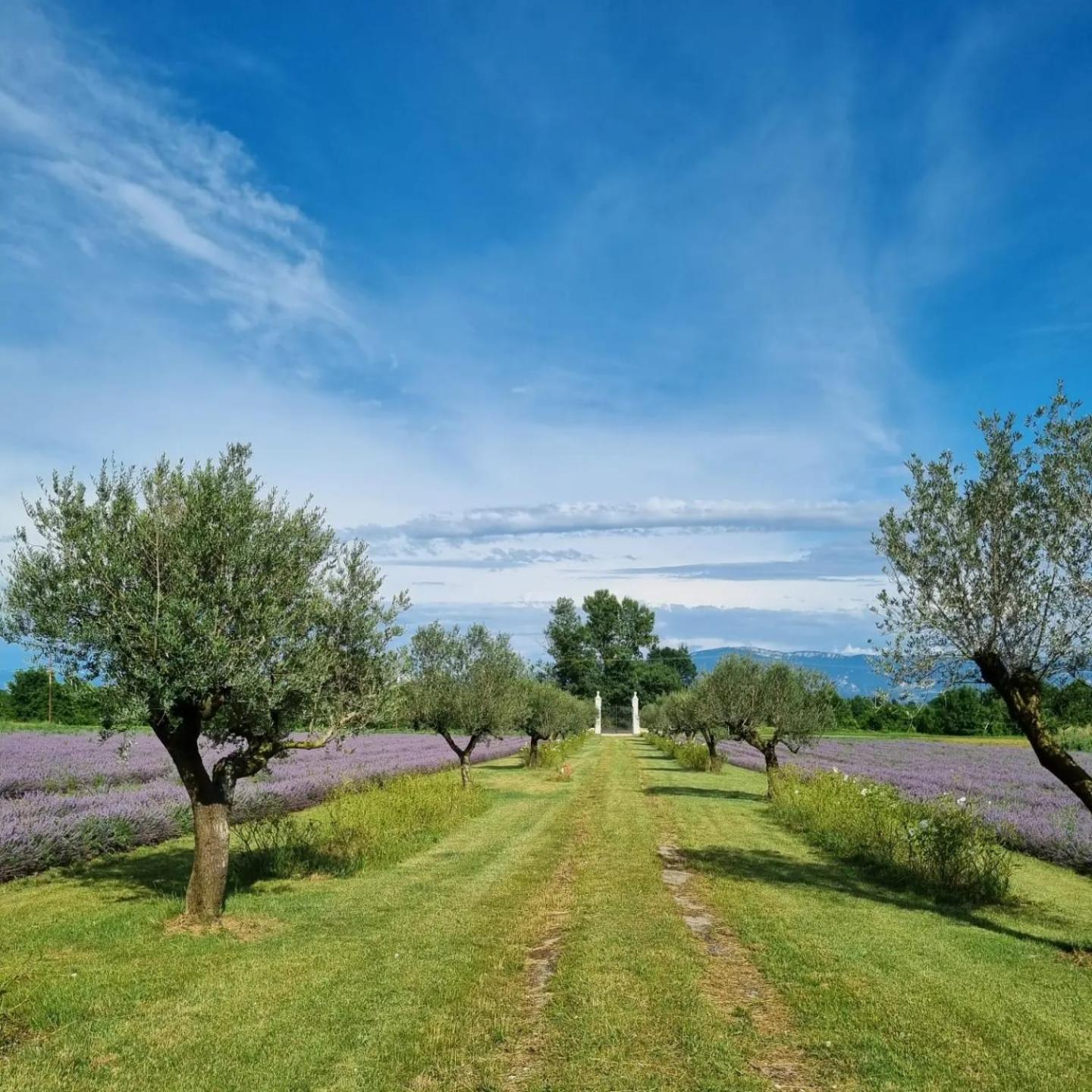 Вилла Domaine Des Balmes Роман-сюр-Изер Экстерьер фото