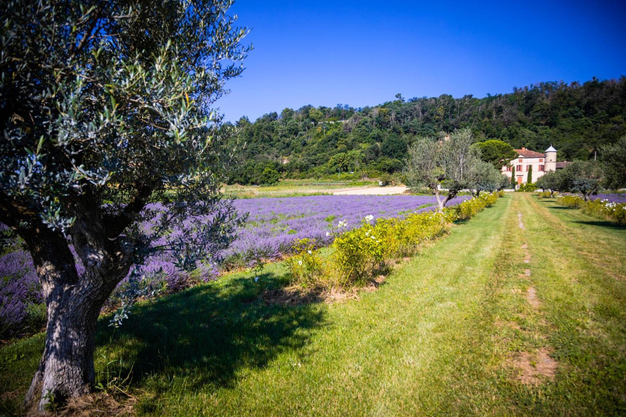 Вилла Domaine Des Balmes Роман-сюр-Изер Экстерьер фото